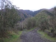 Monte_Fior_di_Cosimo - 20101205 101.jpg